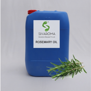 Fournisseur en gros d'huile de romarin pour les soins de beauté, les parfums, les cosmétiques, les soins personnels et les exigences de fabrication professionnelle - Product Image 4