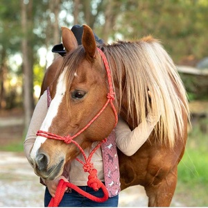 Adjustable Horse Riding Rope Halter Genuine Leather Customizable Size Logo Premium Quality English Western Style Durable - Product Image 5