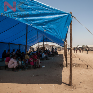 UN Standard Humanitarian Tarpaulin Sheet – PE Woven Waterproof Shelter Material Bulk Supply PE <b>Fabric</b> Emergency Relief Sheet - Product Image 1