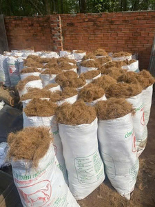 Fibres de coco naturelles, déchets agricoles, paille de coco en vrac, durée de conservation de 2 ans, Vietnam - Product Image 3