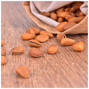 Fournisseurs de pignons de pin, noix de pécan, noyaux de pin, vente directe d'usine, pignons de pin afghans naturels ouverts pour l'importation - Product Image 6