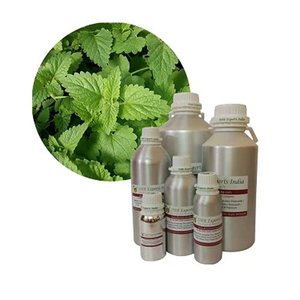 Natural Lemon Balm Melissa Oil Manufacturer and Exporter from India for Cosmetic and Perfumery Industry - Product Image 1