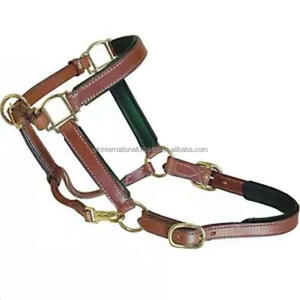 Thick <b>Bridle</b> Leather Horse Halter with Soft Padding Stitched & Adjustable Brass Hardware at Cheap Price Custom Sizes Available - Product Image 5
