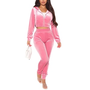 2025 nouvelle mode culture velours à manches longues fermeture éclair à capuche ensemble Logo personnalisé sport sweat et pantalons de survêtement pour l'hiver - Product Image 2