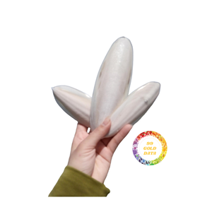 Cuttlebone para alimentación de acuicultura mejora la fuerza de la carcasa en animales acuáticos, suministro a granel - Product Image 5