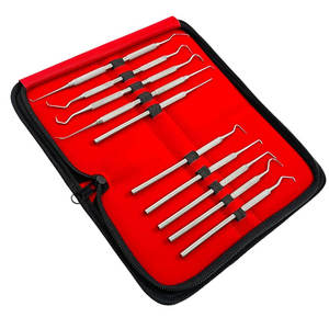 Stainless Dentist Cleaning Tool Set 7pcs Dental Hygiene Kit Scaler Pick Mirror with Zipper <b>Case</b> CE Approved By Grip Surgical - Product Image 6