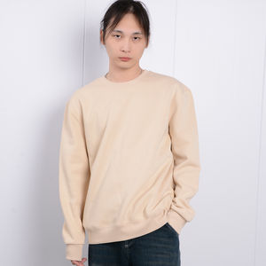 Custom Logo 400g Knitted Solid Fleece Anti-Pilling Crew Neck Sweatshirt <b>for</b> <b>Men</b> and Women Winter Versatile <b>Padded</b> Top - Product Image 2