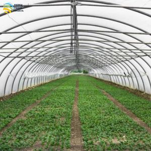 Película Plástica UV de Alta Calidad para Invernadero, 4m de Ancho, 170 Micras, Transparente, para Cubrir Invernaderos Agrícolas - Product Image 4