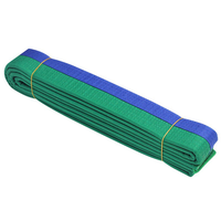 Ceinture de trophée personnalisable pour les compétitions de Jiu-Jitsu, Karaté, MMA, Judo, Boxe, avec logo frontal, 100% coton extensible, légère, unisexe