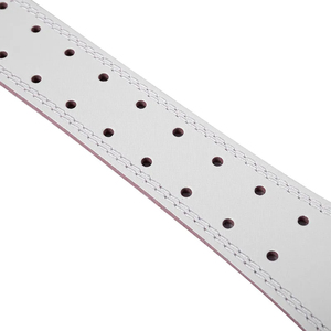 Cinturón de Soporte Lumbar con Estampado de Anime, Hebilla Ajustable, Cinturones Deportivos para Entrenamiento, Ropa y Equipo de Levantamiento de Pesas para Todas las Temporadas - Product Image 6
