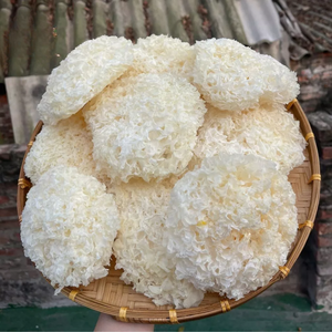 White Fungus Naturally Dried Tremella Mushroom for Culinary Soup <b>Dessert</b> Use from Vietnam - Product Image 3