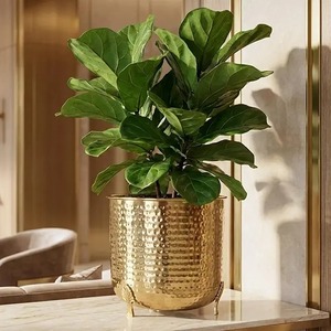 Support de plantes en métal d'intérieur avec cadre en fer décoratif, porte-pot de fleurs d'angle pour la décoration de salon et de la maison - Product Image 2