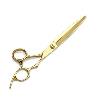 Ciseaux de coiffure professionnels en acier inoxydable doré à haute teneur en carbone, pour la coupe de cheveux, pour salon de beauté et coiffure – Vente chaude - Product Image 1
