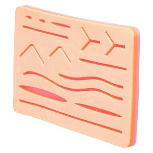 Nouvelle édition : Kit d'instruments pour mannequin de suture cutanée, pour la formation des étudiants en médecine vétérinaire, utilisation manuelle, en PVC et silicone, certifié CE - Product Image 4
