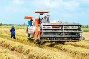 Moissonneuse-batteuse DC 108X pour riziculture, modèle standard thaïlandais, haute efficacité, à 2 rangs, pour riz paddy - Product Image 6