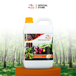 Engrais organique GDM BioBoost pour le développement des racines de café et un rendement supérieur - Product Image 2
