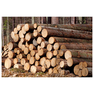 Troncos de Madera Blanda Natural, Troncos para Pelar Madera, Madera Sólida Ideal para Pelar, Revestir Paneles y Aplicaciones de Construcción - Product Image 1