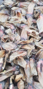 Nourriture naturelle pour animaux de compagnie Oreilles de buffle séchées pour chien Nourriture pour animaux de compagnie 100% naturelle et énergisante Nourriture pour chien Agate - Product Image 3