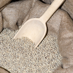 พริกไทยขาวเวียดนามขายส่งสำหรับส่งออก คุณภาพดี ราคาดีที่สุด - Product Image 2