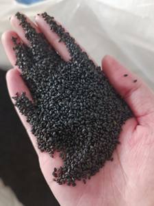 Graines de chia lyophilisées de qualité supérieure pour boissons et recettes alimentaires Durée de conservation de 24 mois Graines de chia biologiques du Vietnam - Product Image 3