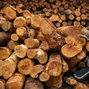 น้ำมันไม้จันทน์มัยสอเร่ บริสุทธิ์ 100% สกัดด้วยไอน้ำ สารต้านอนุมูลอิสระ |   ผู้จัดจำหน่ายรายใหญ่ ผู้ผลิตส่งออกแบบมีสัญญาระยะยาว - Product Image 2