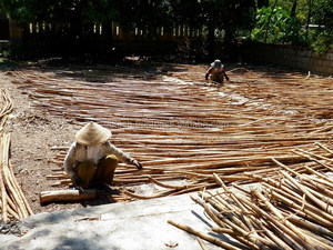 Gran oferta 2021, palo de ratán sin pulir, precio barato, Material PP de 10mm a 40mm de diámetro para procesamiento de muebles en bruto - Product Image 4