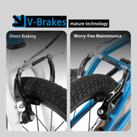Vélo pour enfants de 14 à 20 pouces pour garçons et filles de 3 à 12 ans, vélo pour enfants de style BMX avec roues d'apprentissage, double frein en V, siège réglable