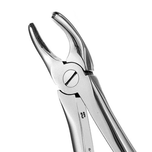 Pinzas de Extracción Dentales Quirúrgicas para Molares Superiores Dentados de 18 Pulgadas, Instrumento de Cirugía Oral de Acero Inoxidable - Product Image 6