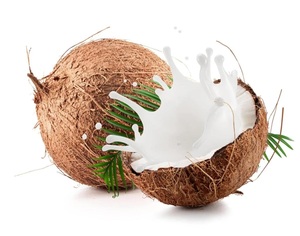 นมมะพร้าวผงพรีเมียมขายส่ง - Product Image 2