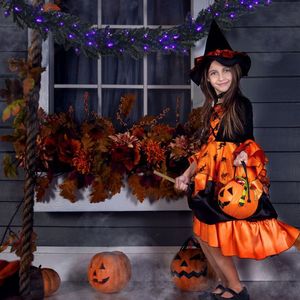 Ghirlanda natalizia/Halloween a LED viola preilluminata da 2,7 metri con 50 luci viola - Product Image 6