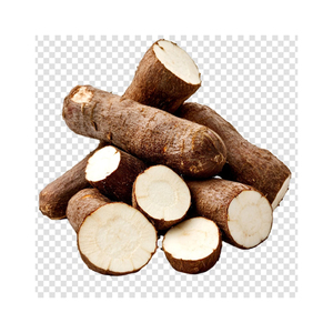 Cassava fraîche naturelle disponible en gros pour les marchés de détail et les revendeurs commerciaux - Product Image 5