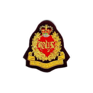 Nouvel Arrivage Badges d'écusson familial brodés faits main, tactiques, en fil doré pour blazer, en tissu toile, à prix bas - Product Image 6