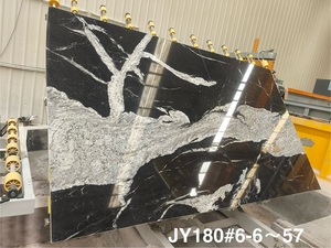 New Polished Natural Stone <strong>Black</strong> with White <strong>Granite</strong> <strong>Slabs</strong> - Product Image 4