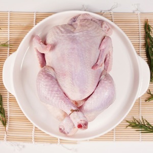 Vente en gros de poulet entier halal, désossé, sans peau, congelé, nettoyé - Congelé IQF, fournisseur d'exportation, directement de l'usine, pour les magasins de détail - Product Image 4