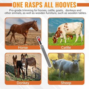 Râpe à sabots professionnelle de 18 pouces, en acier au carbone robuste, pour chevaux, bovins, chèvres, ânes, ergonomique - Product Image 5