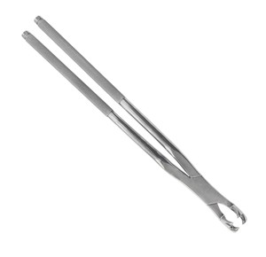 Pinzas Dentales Veterinarias de Acero Inoxidable Reutilizables de Alta Calidad para Extracción de Dientes de Caballos, Herramientas Quirúrgicas para Uso en Animales Grandes - Product Image 6