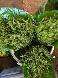 Algues fraîches de mer, raisins de mer, caviar vert, riches en humidité, 20-40 cm, emballage sous vide, Vietnam, durée de conservation de 12 mois - Product Image 6