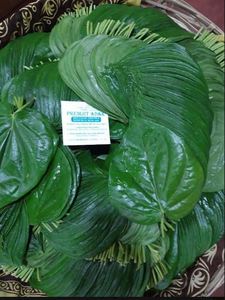 Hojas de Betel Orgánicas Frescas de Primera Calidad, Utilizadas para Paan Natural y Preparaciones Tradicionales al Mejor Precio - Product Image 4