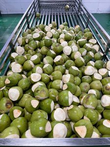 <span class=keywords><strong>Coco</strong></span> Verde Fresco Parcialmente Pelado, <span class=keywords><strong>Coco</strong></span> Verde Descascarado, Cocco Verde Seleccionado, Distribuidores (WA +84914319488) - Product Image 6