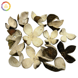 Gránulos de Cáscara de Naranja Seca a Granel, Precio Accesible, Cáscara de Cítricos para Té, Bebidas y Procesamiento de Alimentos - Product Image 1