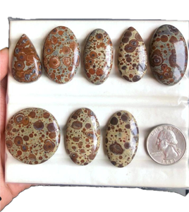 Cabujón de Jaspe Asteroidal, Gema Semipreciosa Natural para Joyería, Astroita, Piedra de Nacimiento, Joyería Hecha a Mano, Regalo para Seres Queridos - Product Image 1
