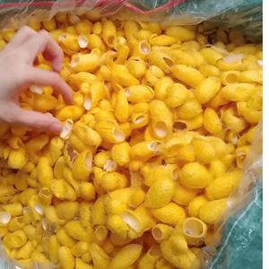 Cocon de ver à soie séché, matériau pour la production de fil, artisanat, décoration et utilisation textile, origine Vietnam. - Product Image 2