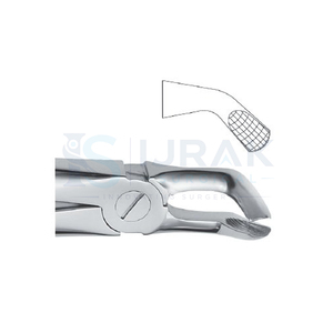 คีมถอนฟัน ฟันหน้าบน รากฟัน สแตนเลส เครื่องมือผ่าตัดแบบใช้มือ คลาส 1 - Product Image 4