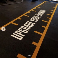 Gimnasio diseño interior mejora pistas de trineo Deportes césped artificial