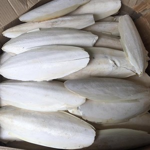 BEST SELLING Os de Seiche Riche en Calcium, Écologique, en Gros pour Oiseaux et Reptiles - Product Image 2