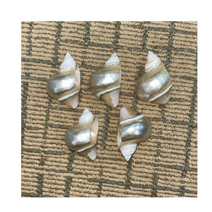 Anillo para Servilletas de Concha Marina Natural Ecológico, Hecho a Mano, Plateado, para Decoración de Bodas y Restaurantes - Product Image 5