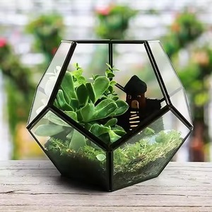 Trend Glass Box Metal Terrarium Planter Elegant Indoor Plant <b>Display</b> <b>Case</b> Stylish Home Decor - Product Image 1