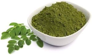 Polvo de Hoja de Moringa Herbal Pura, Extracto Herbal de Alta Calidad, Grado Alimenticio, Apoyo para la Salud y Bienestar, a Granel, de la India - Product Image 2