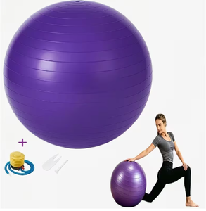 HAWK SPORTS INDUSTRIES Ballons de yoga violet et bleu avec pompe à air 30cm 20cm PVC antidérapants pour l'exercice physique et l'entraînement d'équilibre universels - Product Image 6