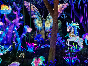 कारखाने अनुकूलन चमकदार सजावट बाहरी क्रिसमस रोशनी 3 डी स्ट्रीट मोटिफ लाइट - Product Image 2